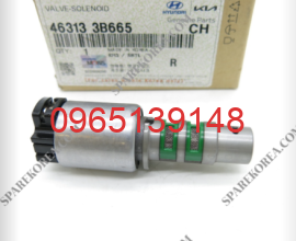 VALVESOLENOID