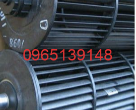 43T20355