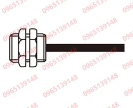 Dau-cam-bien-Keyence-SH-114-10M