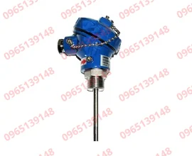 Dau-do-nhiet-do-E52MY-PT20C-SUS304-loai-PT100-20cm
