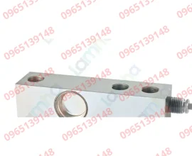 FT-P1000-Cam-bien-load-cells-luc-dam-chiu-cat-Laumas-FT-P1000