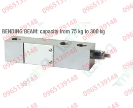 FTP10000-Cam-bien-load-cells-luc-dam-chiu-cat-Laumas-FTP10000