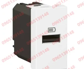 O-sac-USB-don-type-A-15W-1-mo-dun-Mau-trang-mo-Legrand-571680