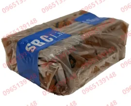 SBI25FLK1